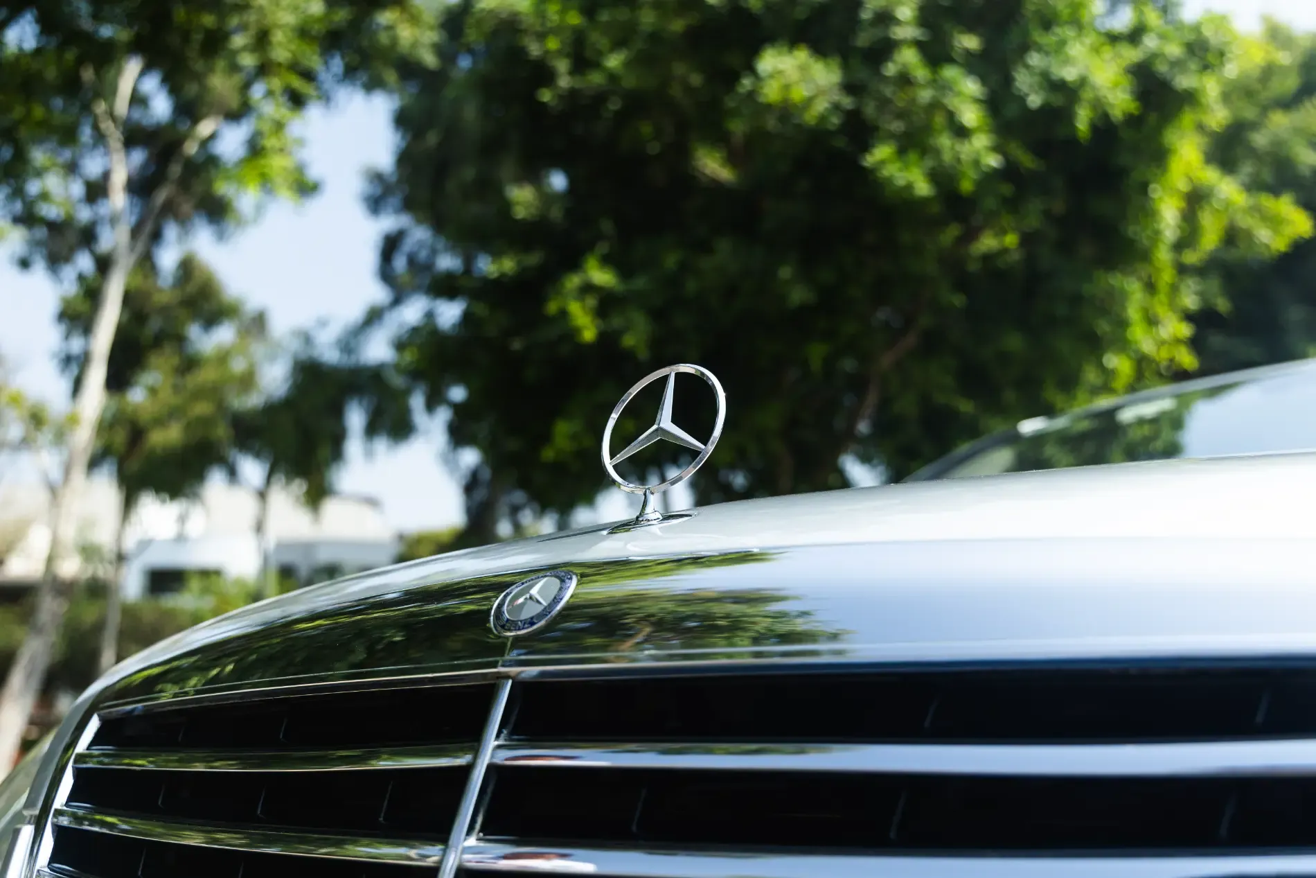 MERCEDES BENZ Clase S S 350