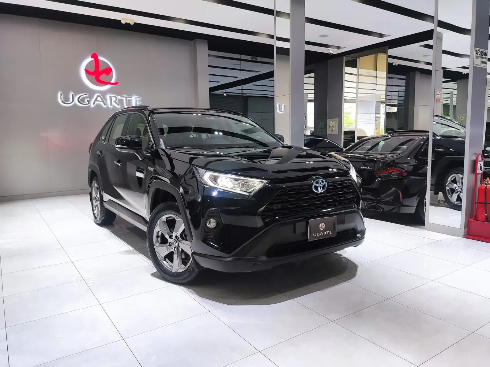 TOYOTA RAV4 Hybrid