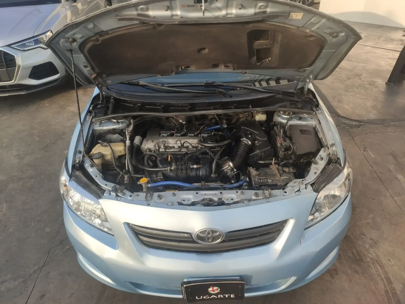 TOYOTA Corolla XLI
