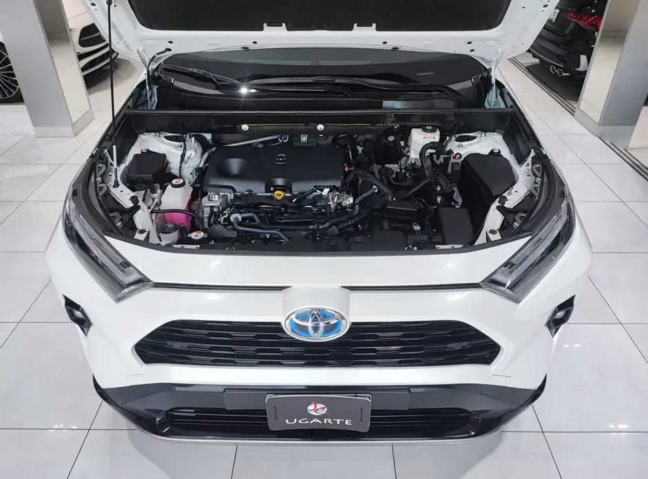 TOYOTA RAV4 Hybrid