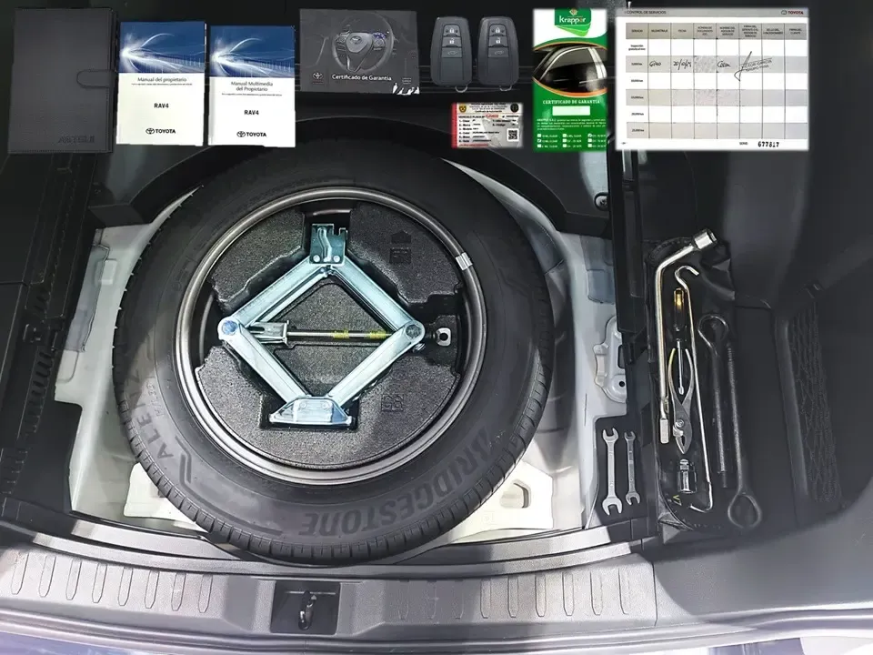 TOYOTA RAV4 Hybrid