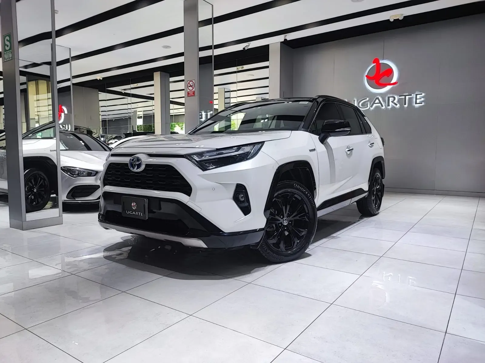 TOYOTA RAV4 Hybrid