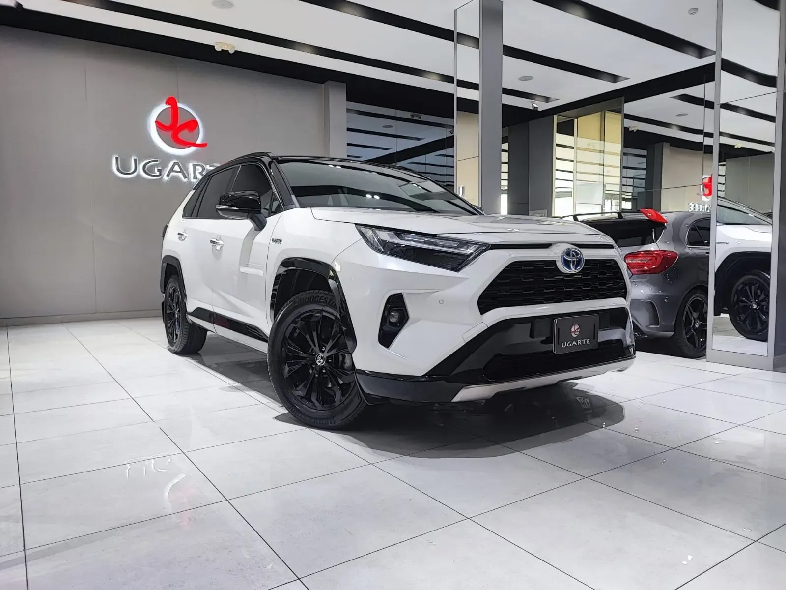 TOYOTA RAV4 Hybrid