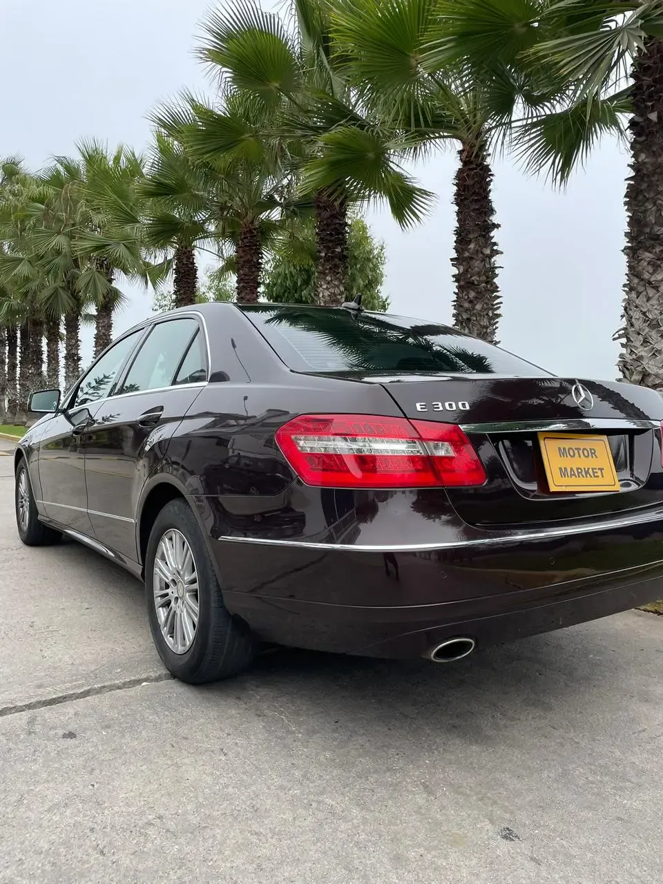 MERCEDES BENZ Clase E E 300