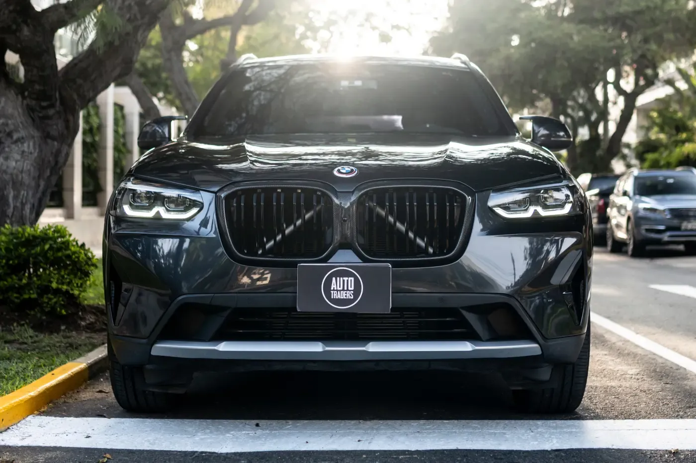 BMW X3 xDrive 30e
