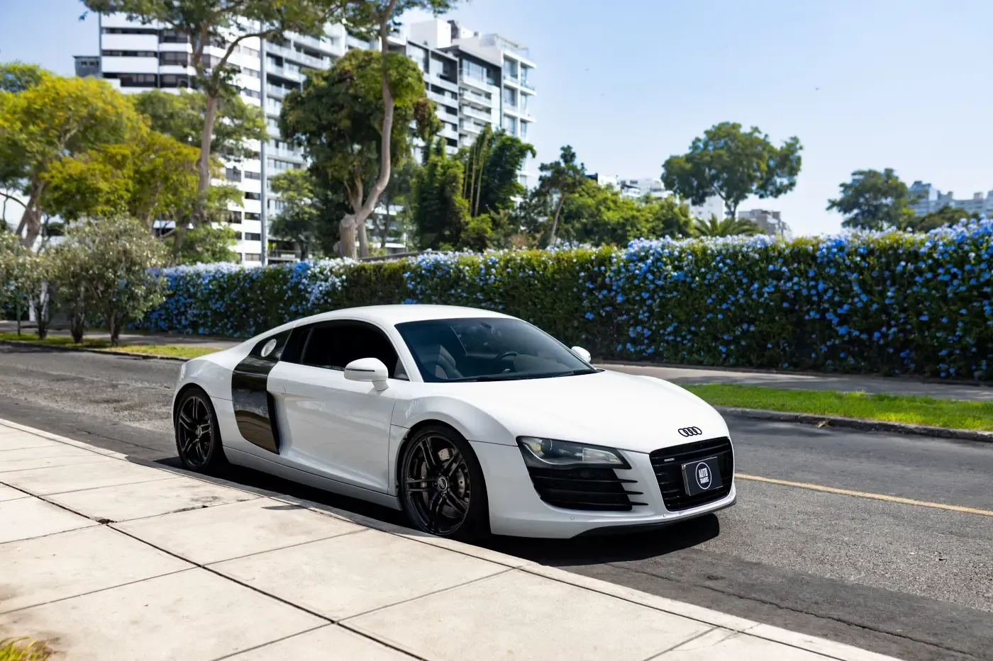 AUDI R8 V8