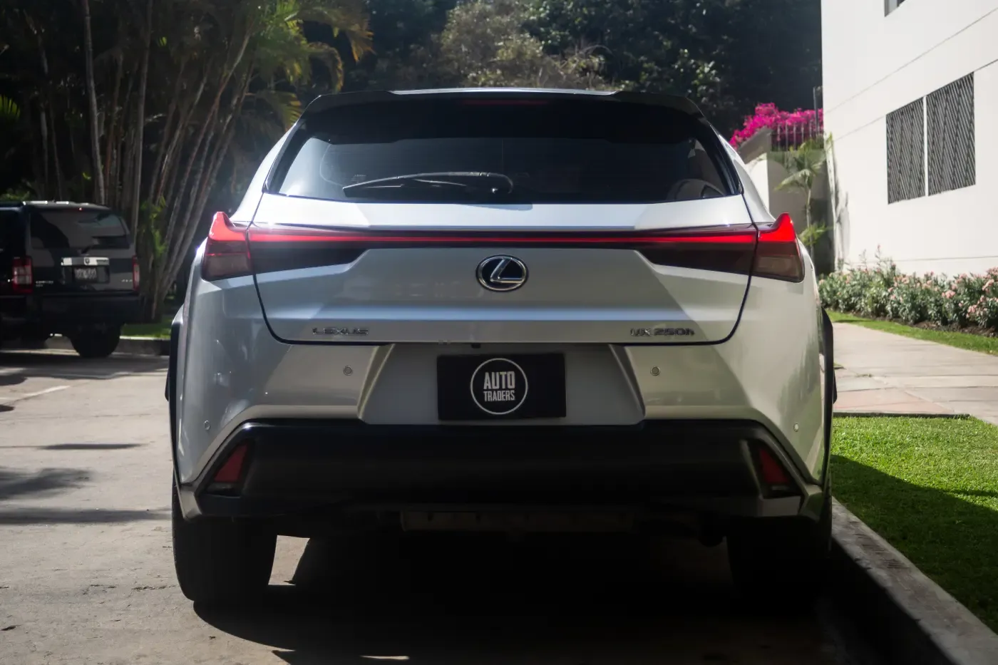 LEXUS UX 250h