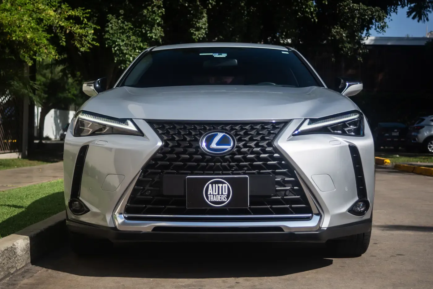 LEXUS UX 250h