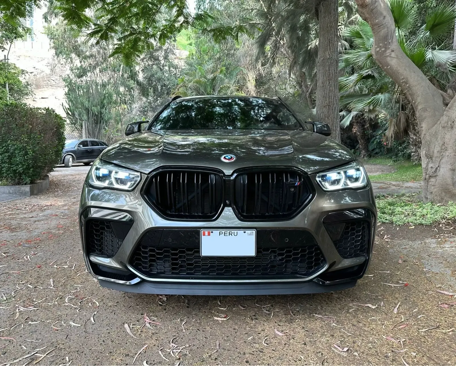 BMW X6 Competition