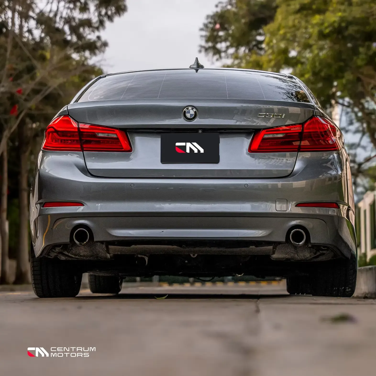BMW Serie 5 530i