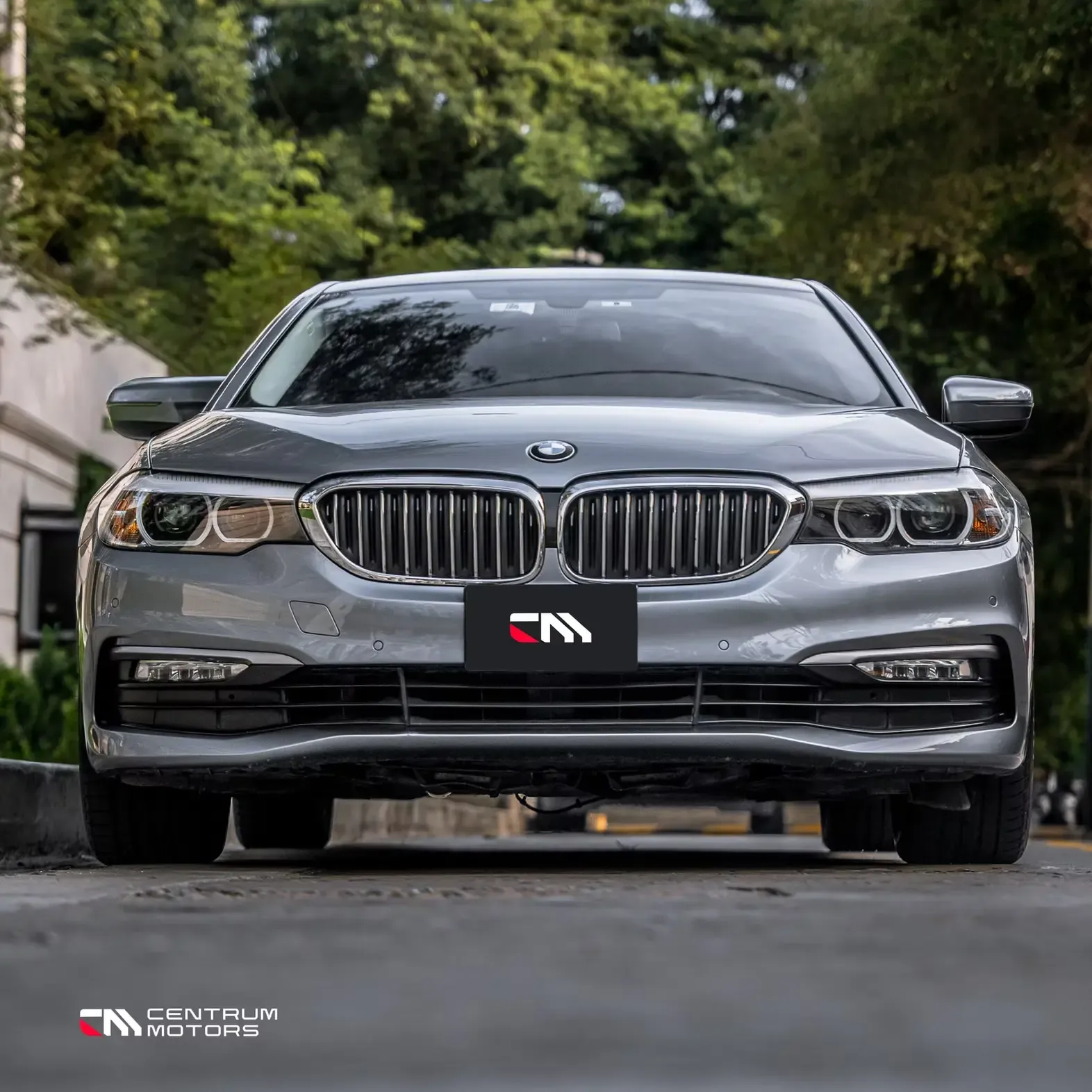 BMW Serie 5 530i