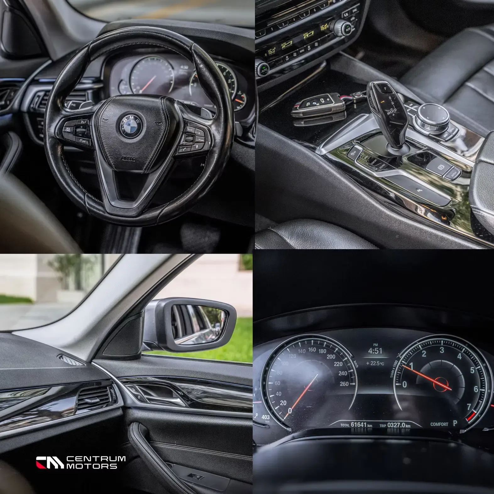 BMW Serie 5 530i