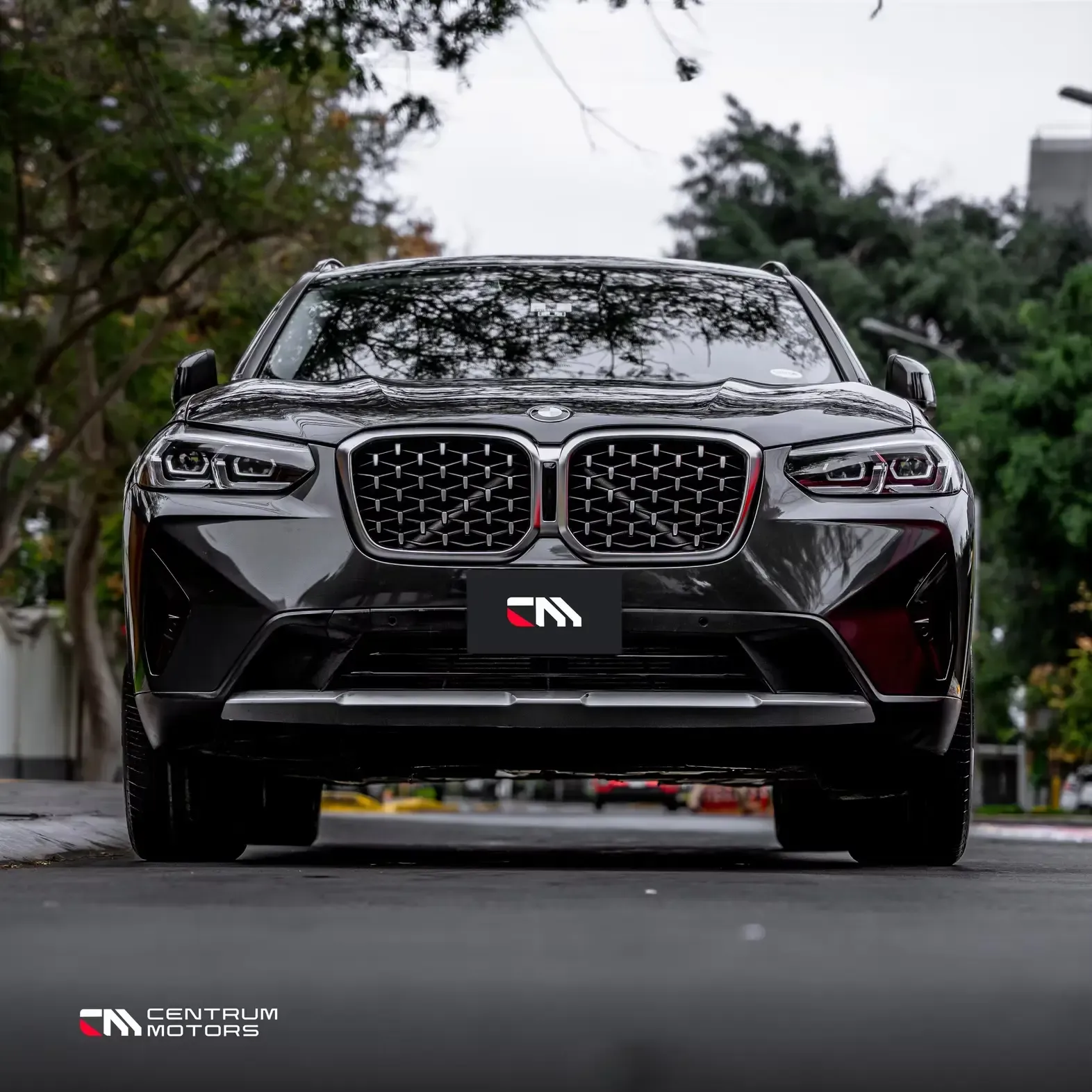 BMW X4 30i