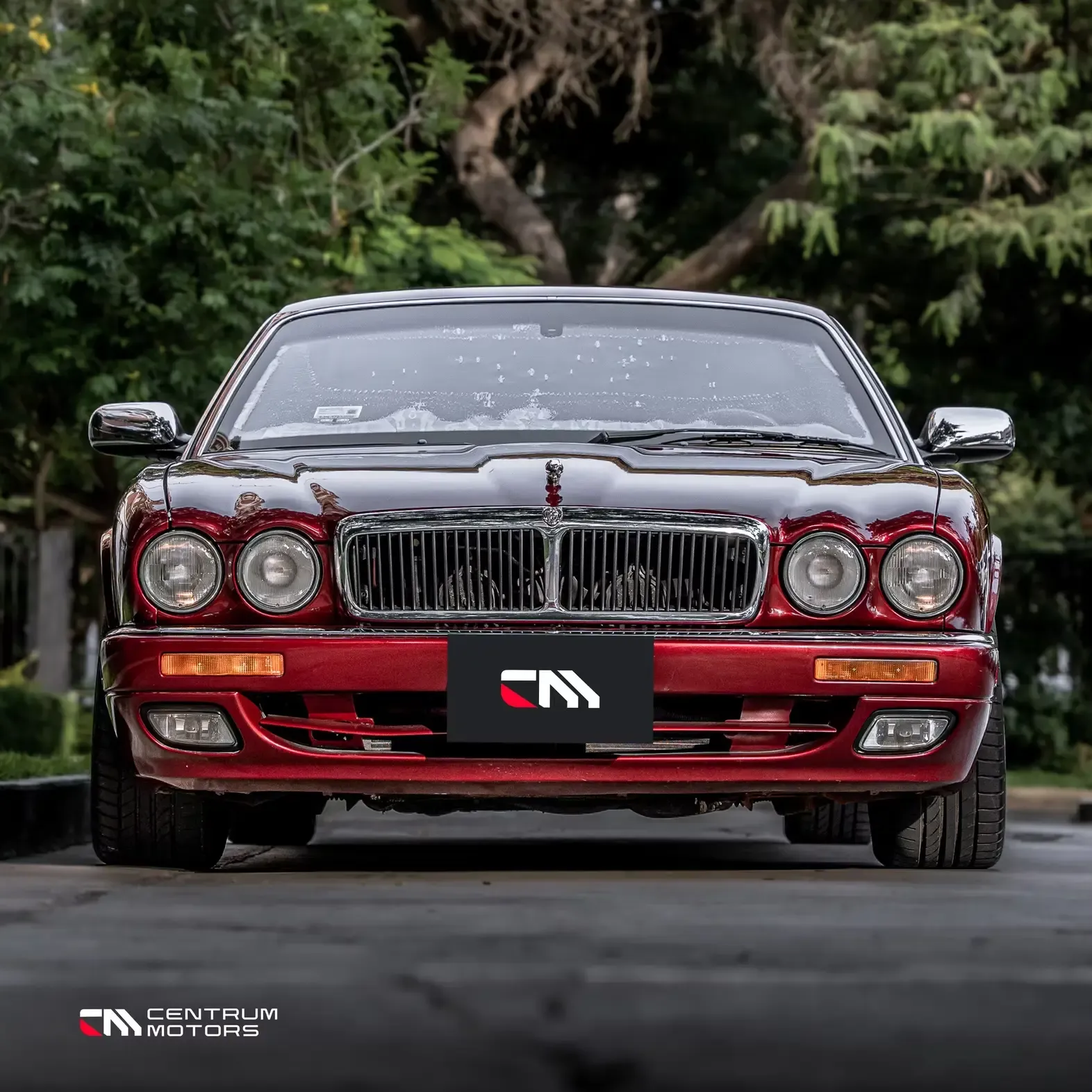 JAGUAR XJ12