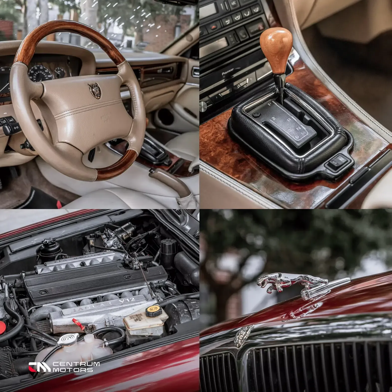 JAGUAR XJ12