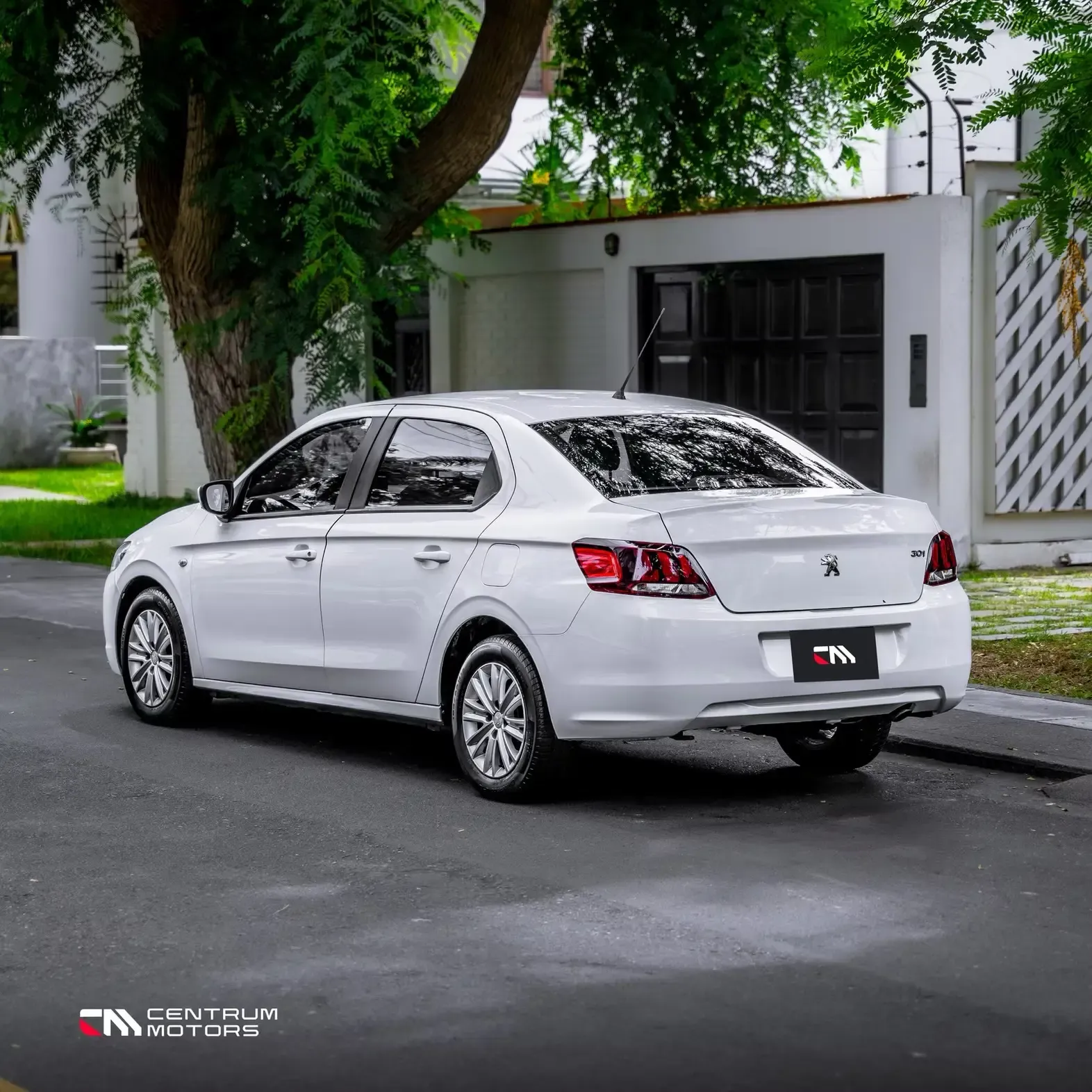 PEUGEOT 301