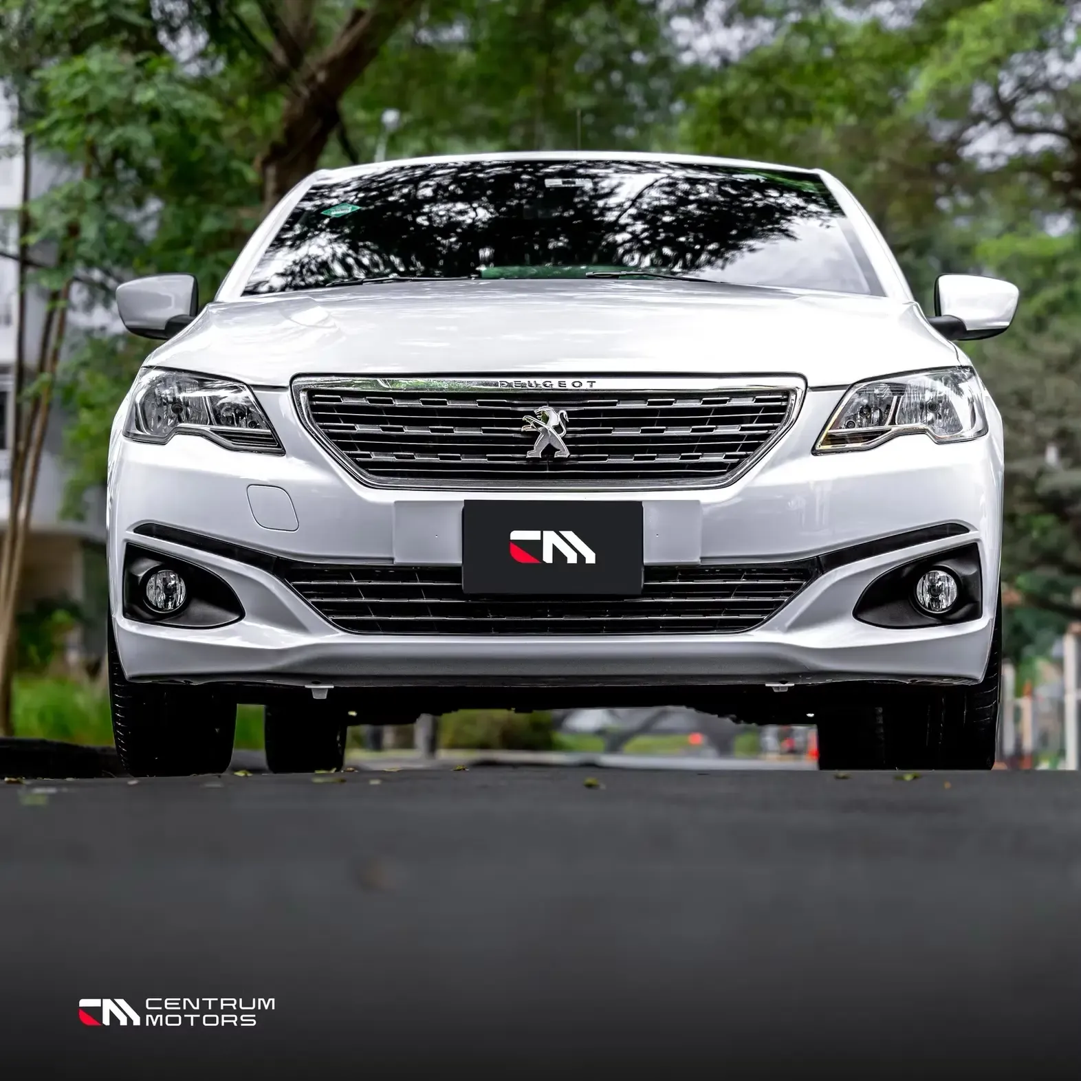 PEUGEOT 301
